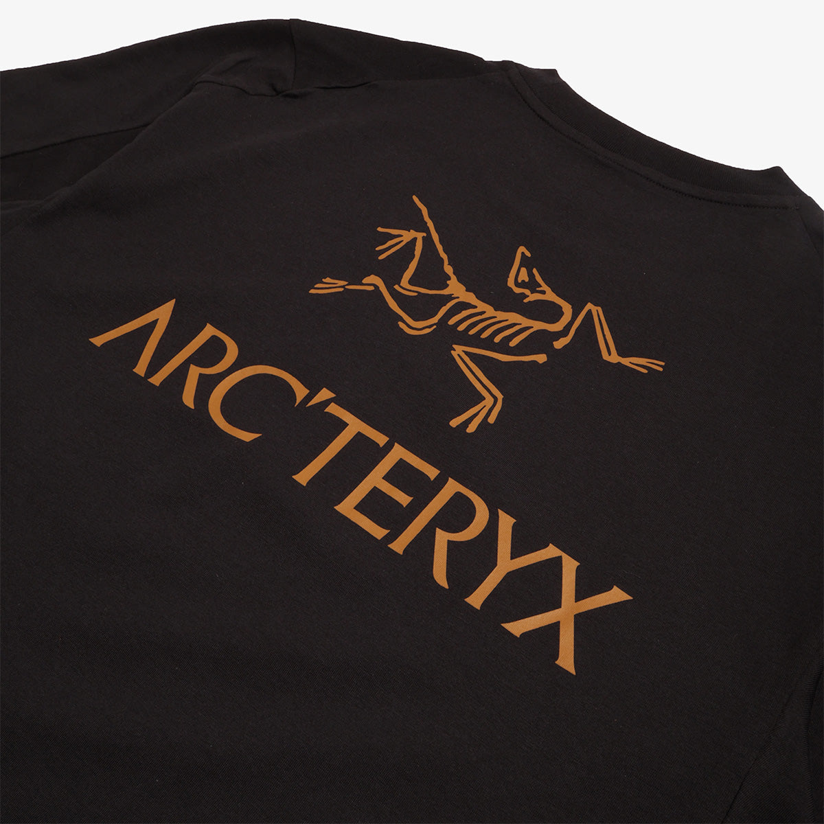 Arc'teryx Kragg SL Cotton Bird Word T-Shirt