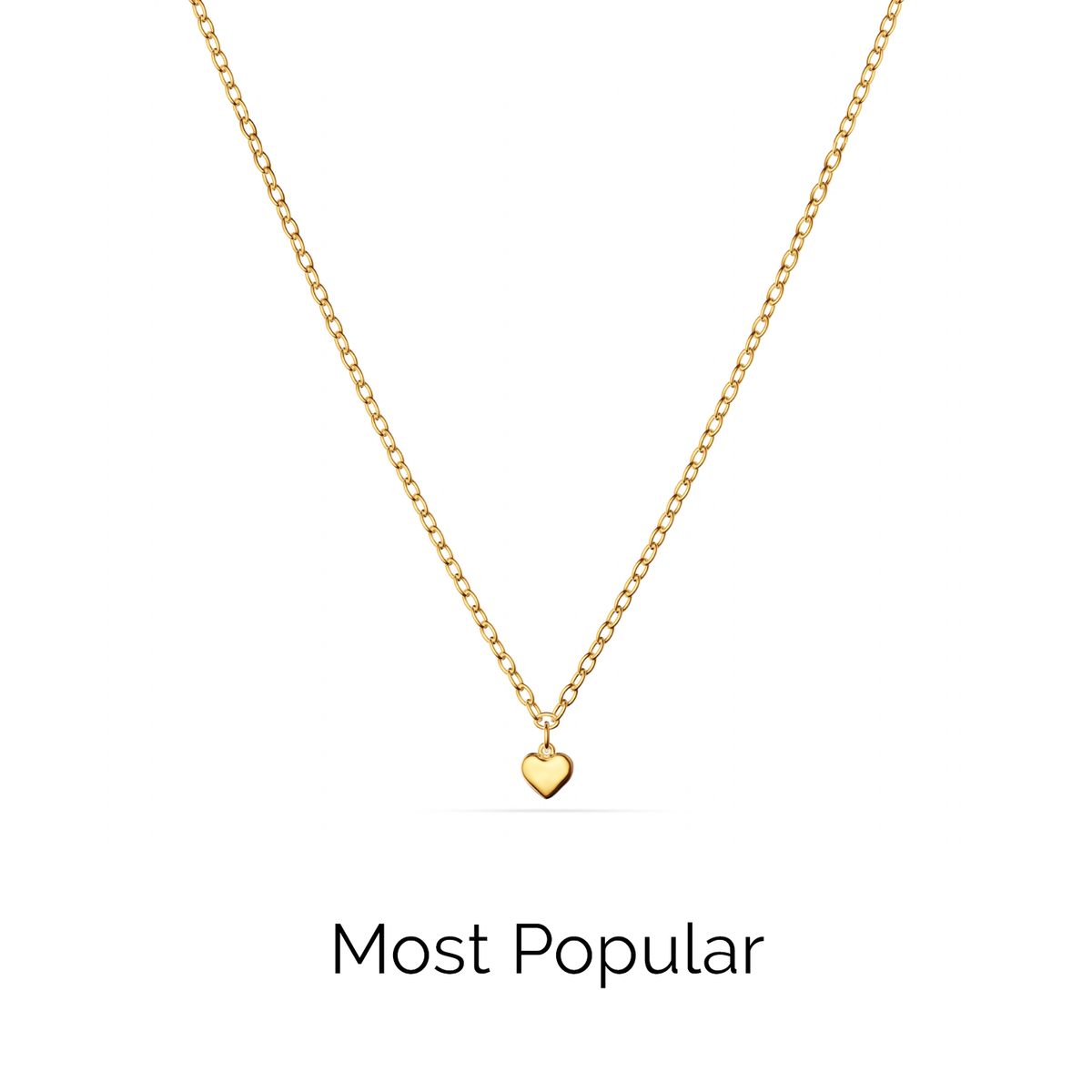Fine Single Charm Necklace (Gold)