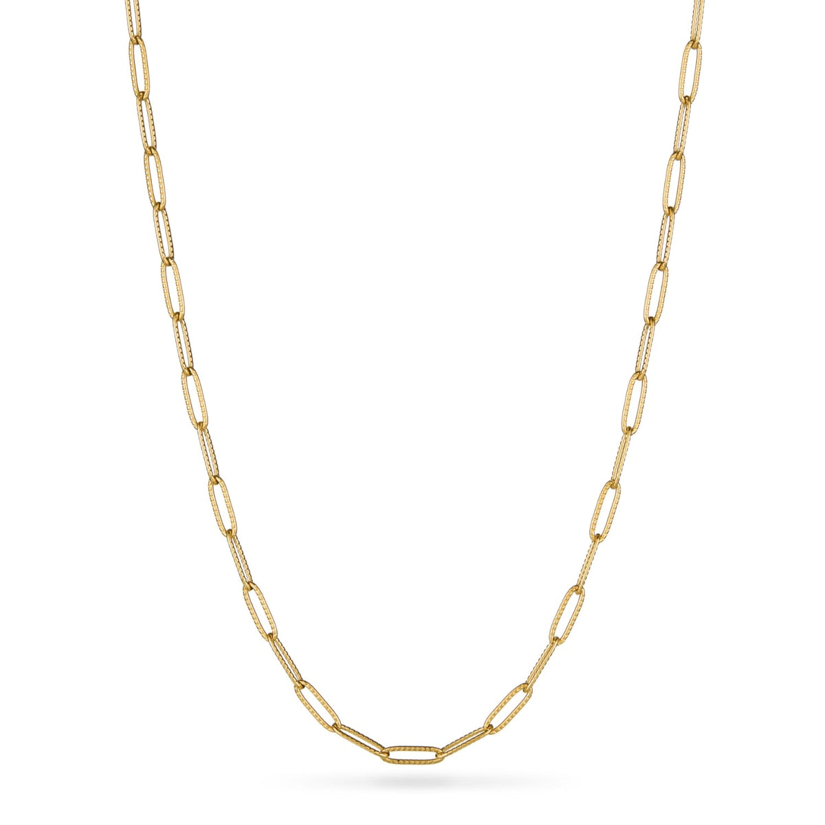 Murphys Sketches x Abbott Lyon Custom Robin Coin Necklace (Gold)