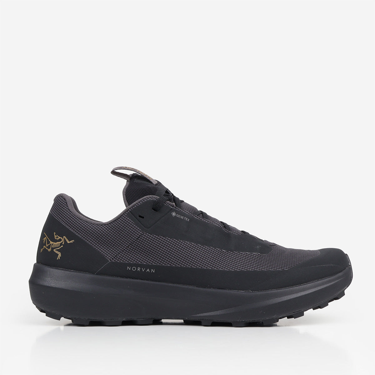 Arc'teryx Norvan LD 4 GTX Shoes