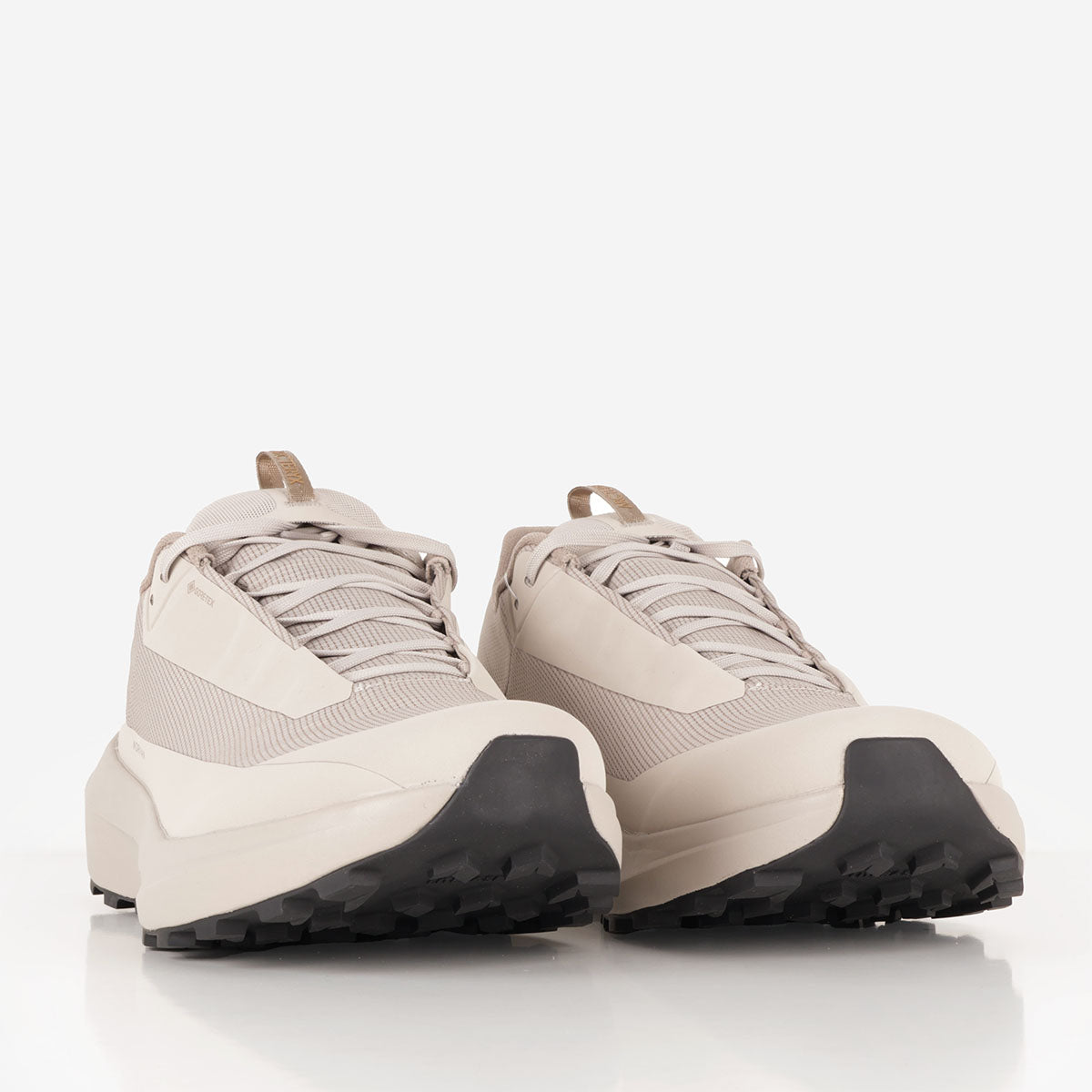 Arc'teryx Norvan LD 4 GTX Shoes
