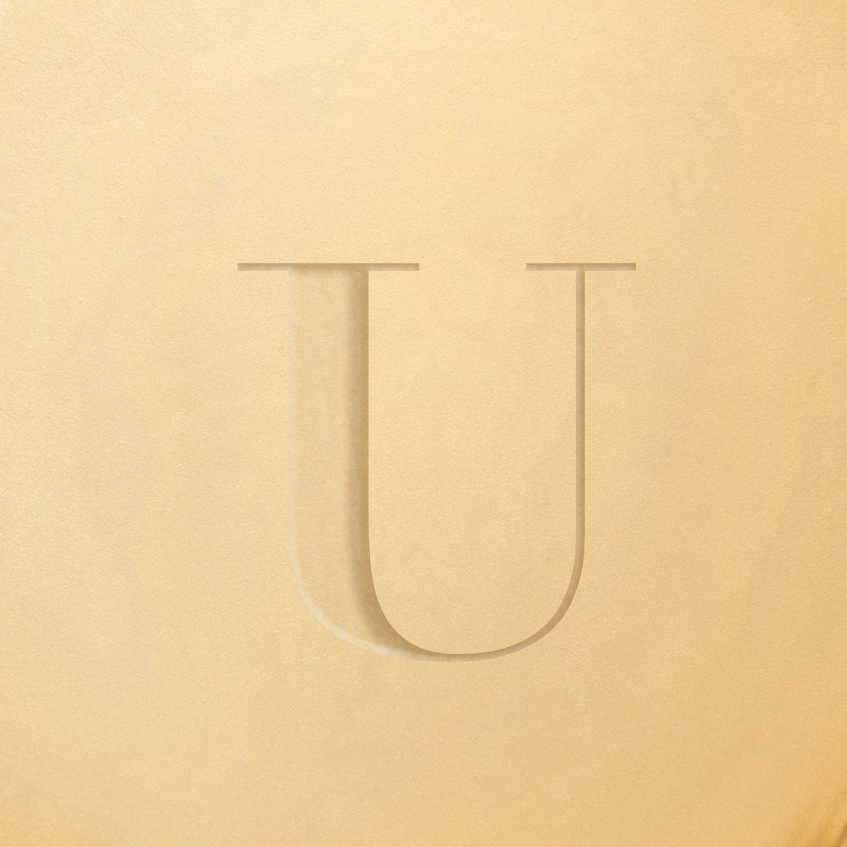 Stamped - Initial Icon