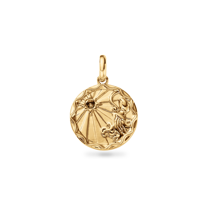 Custom Zodiac Coin Necklace (Gold)