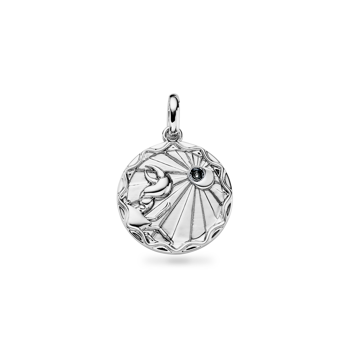Custom Zodiac Coin Necklace (Silver)