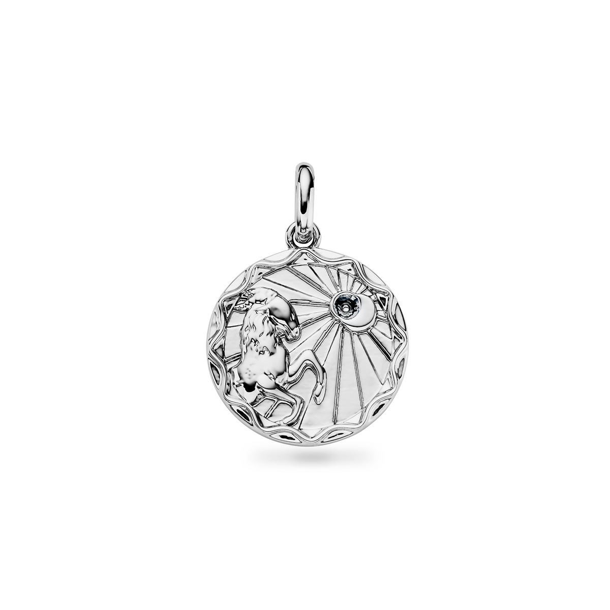 Custom Zodiac Coin Necklace (Silver)
