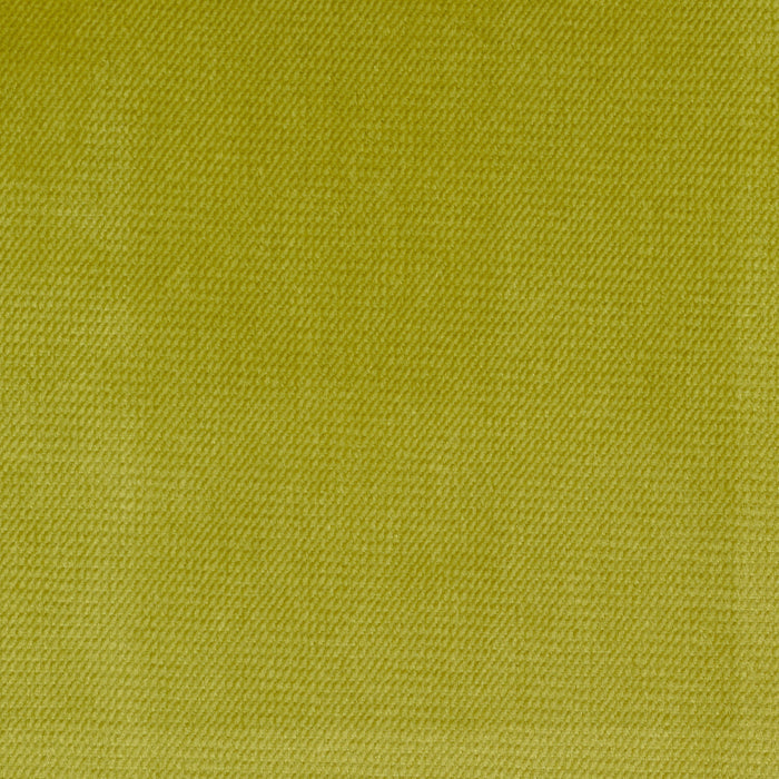 Grass