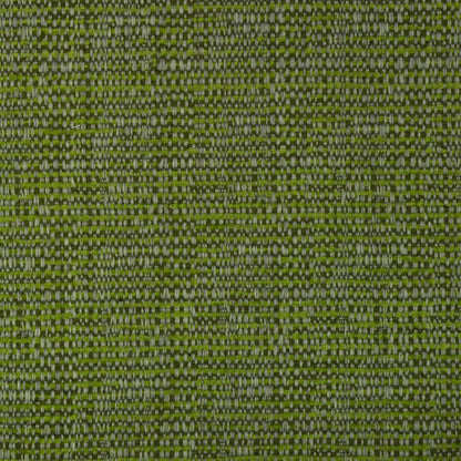 Wheatgrass