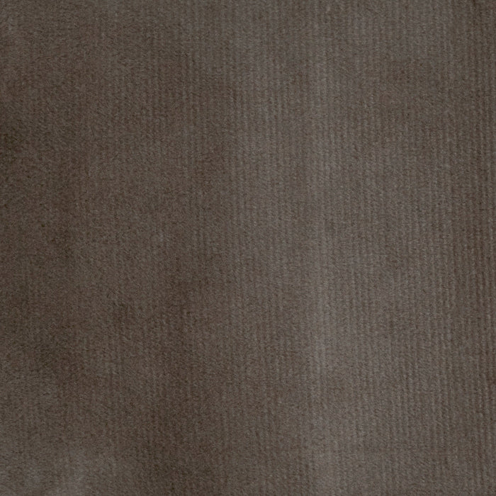 Cocoa