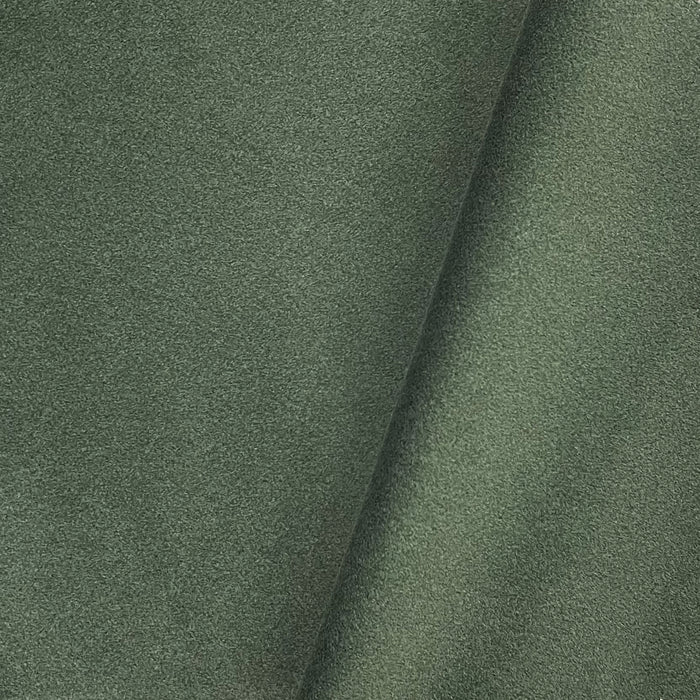 Clover