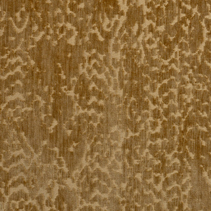 SESAME