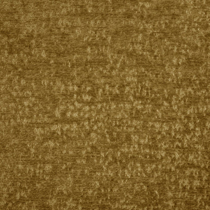 Sesame