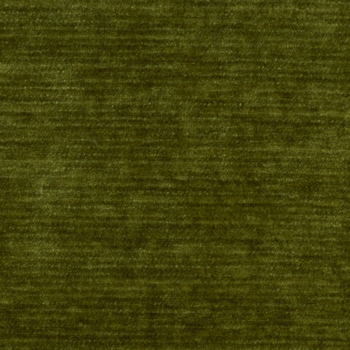 Grass