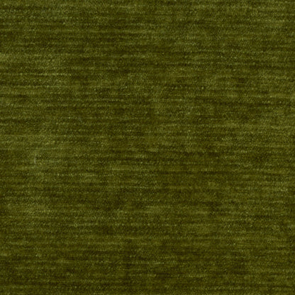 Grass