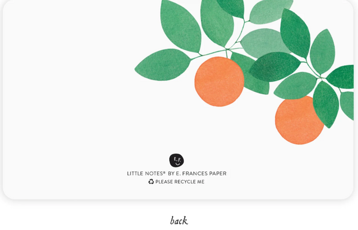 Orange Grove Little Notes