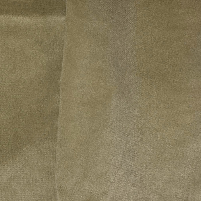 French Vanilla