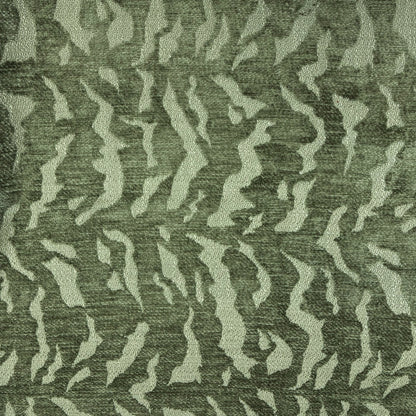 Vine